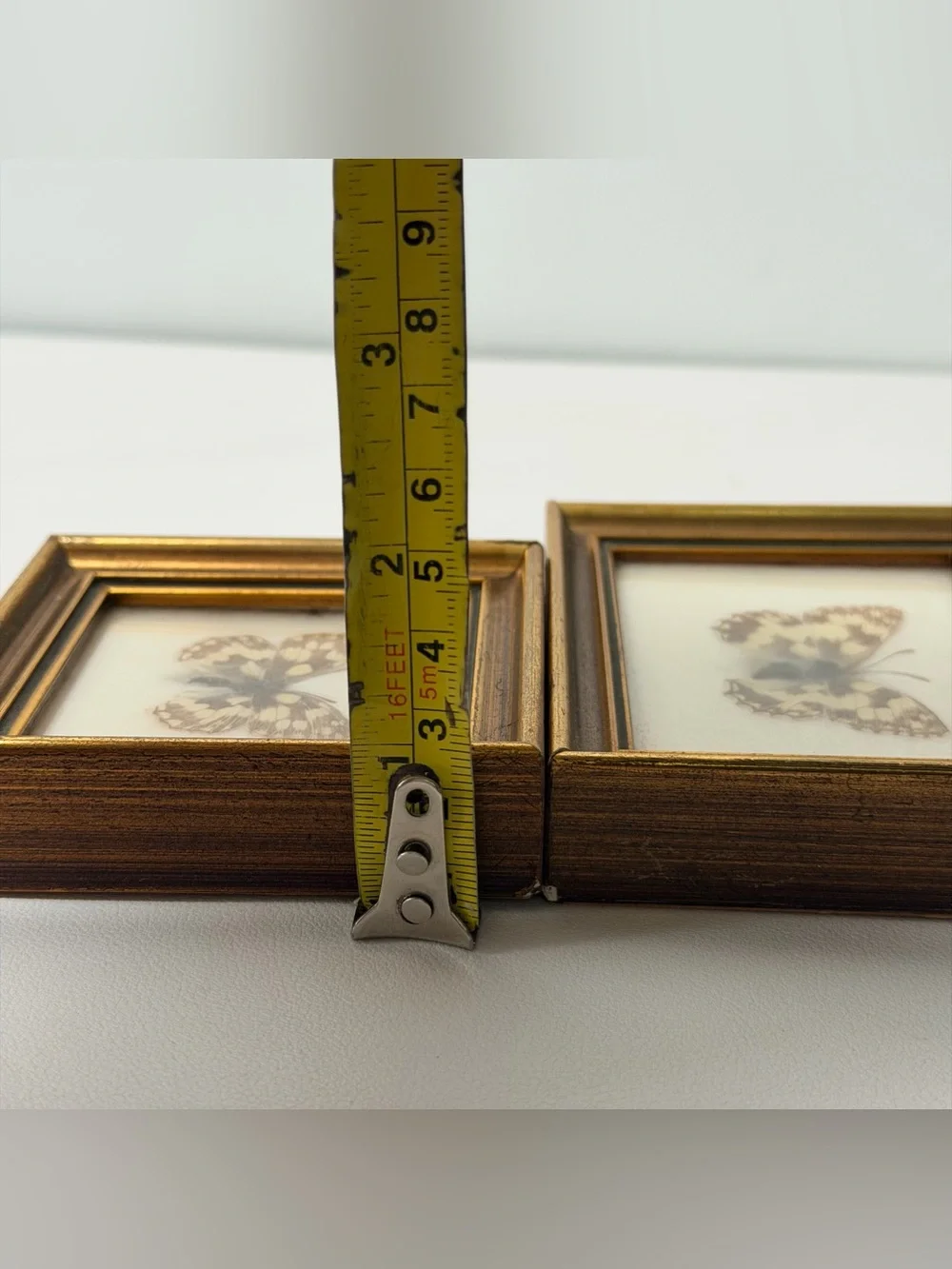 Marbled White Butterfly (Melanargia galathea) framed  2 pcs set Handmade Austria